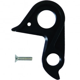 D768 derailleur hanger BMC