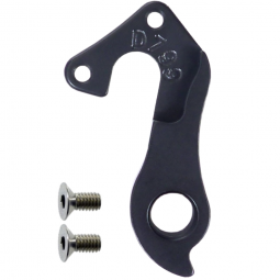 D799 derailleur hanger...