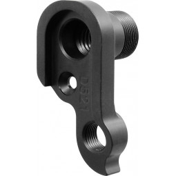 D521 derailleur hanger...