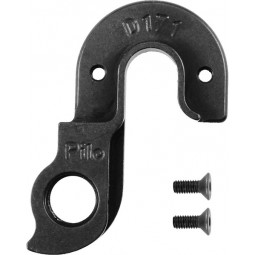 D171 derailleur hanger...