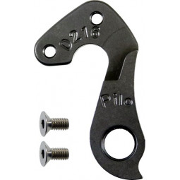 D216 derailleur hanger FOCUS