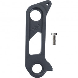 D856 Derailleur hanger