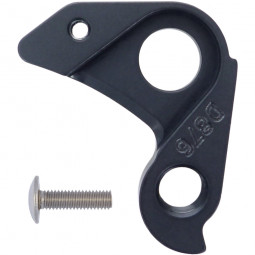 D876 derailleur hanger