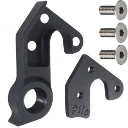 D482 derailleur hanger...