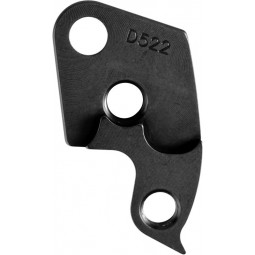 D522 derailleur hanger...