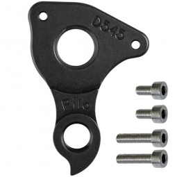 D545 derailleur hanger...