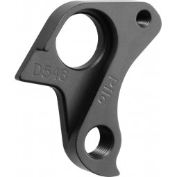 D546 derailleur hanger...