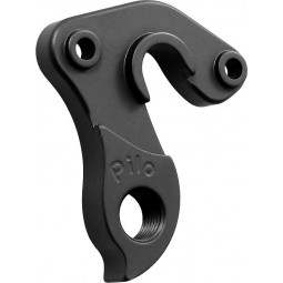 D548 derailleur hanger...