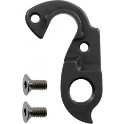 D581 derailleur hanger