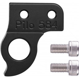 D584 derailleur hanger...