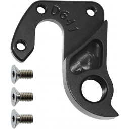 D641 Derailleur hanger