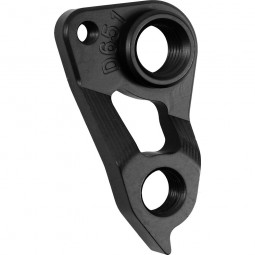 D651 derailleur hanger...
