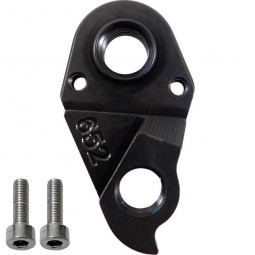 D652 GT derailleur hanger