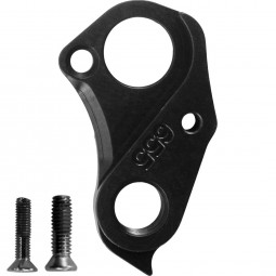 D655 derailleur hanger...