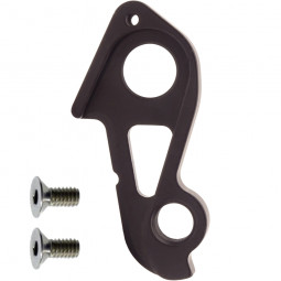 D762 derailleur hanger BMC
