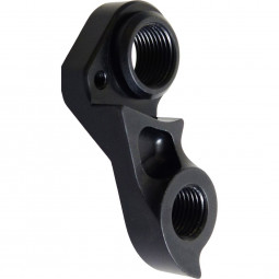 D696 derailleur hanger...